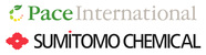 PACE INTERNATIONAL logo